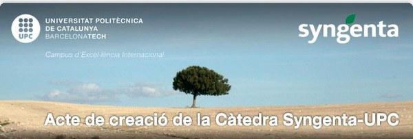 Catedra syngenta