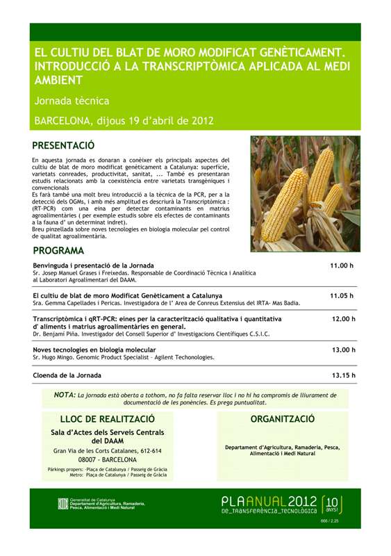 EL CULTIU DEL BLAT DE MORO MODIFICAT GENÈTICAMENT