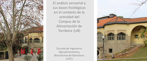 27 de maig de 2022 - Seminari: El análisis sensorial y sus bases fisiológicas en el contexto de la actividad del Campus de la Alimentación de Torribera (UB) 27 de maig de 2022 - Seminari: El análisis sensorial y sus bases fisiológicas en el contexto de la actividad del Campus de la Alimentación de Torribera (UB)