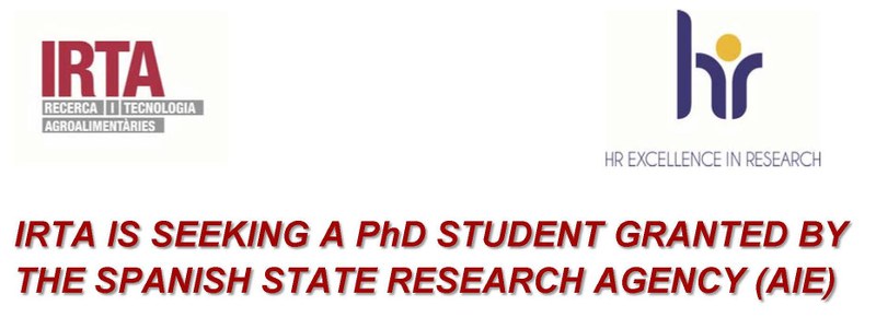 PhD STUDENT GRANTED BY THE SPANISH STATE RESEARCH AGENCY PhD STUDENT GRANTED BY THE SPANISH STATE RESEARCH AGENCY