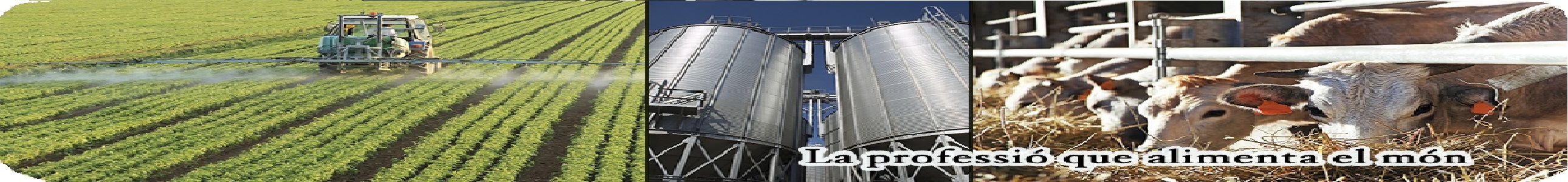 Master Eng. Agronomica